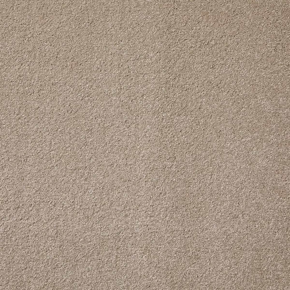 Aspire Stone Carpet