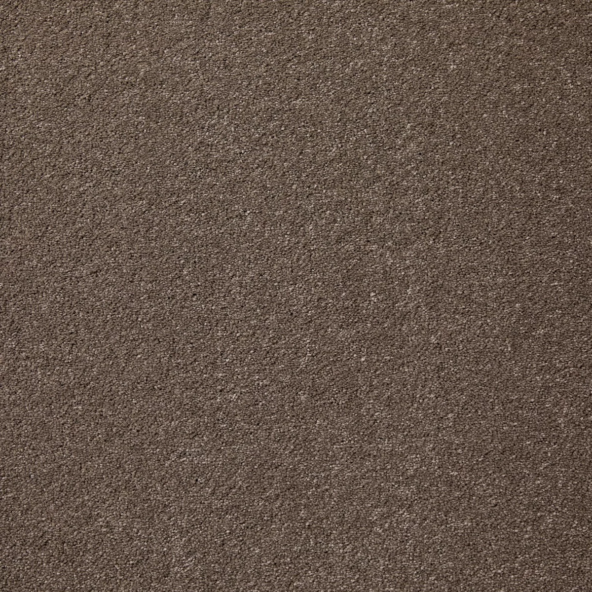 Aspire Vole Carpet