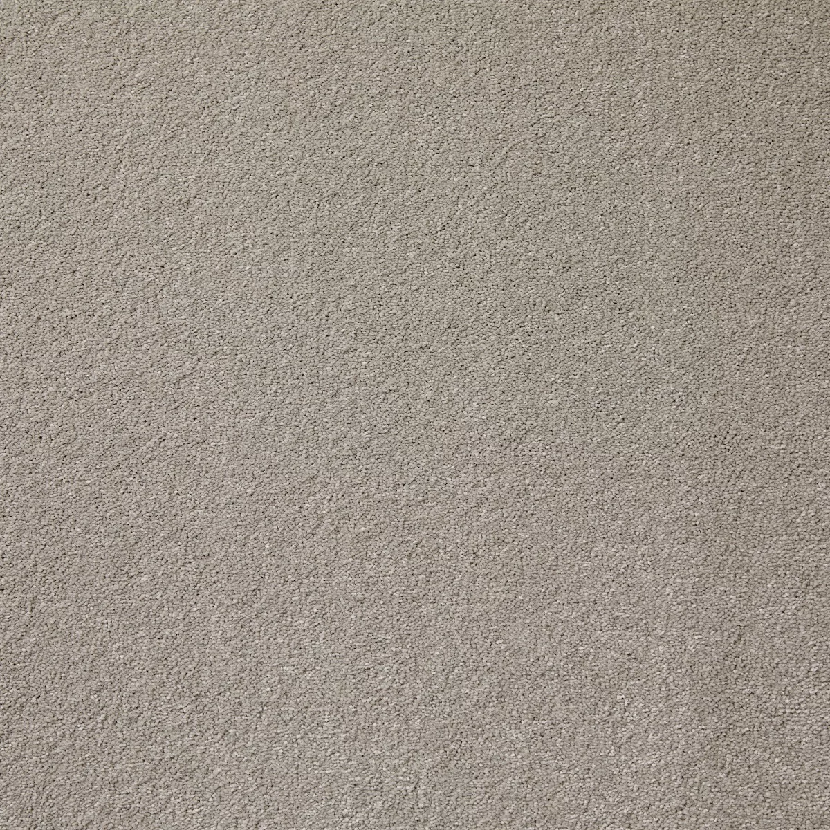 Aspire York Carpet