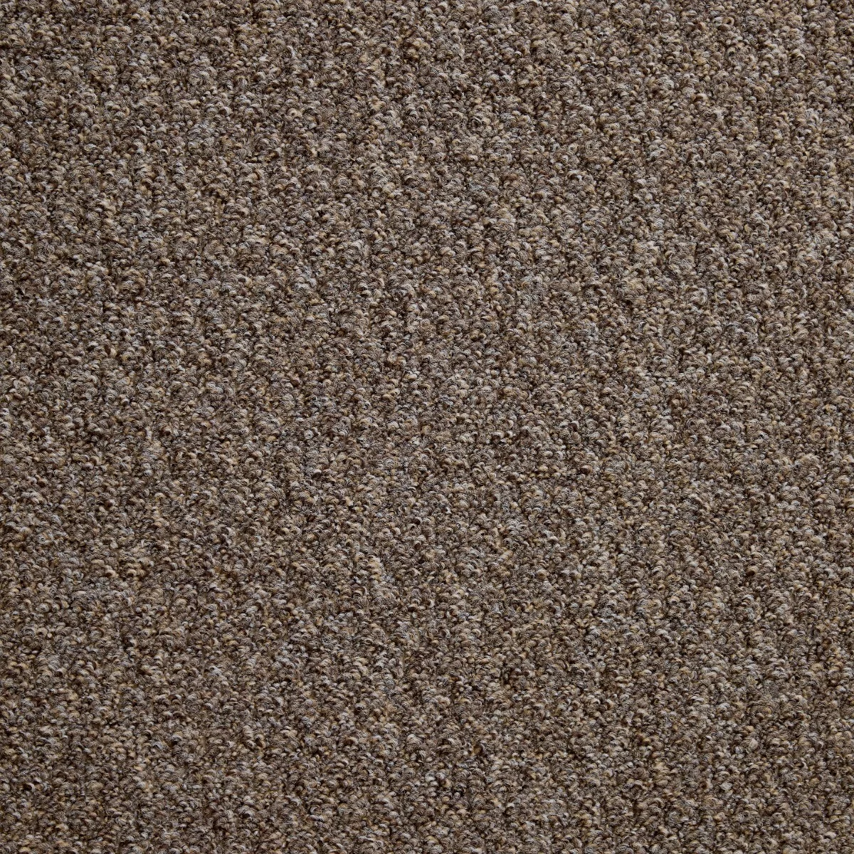 Atlas Driftwood Carpet