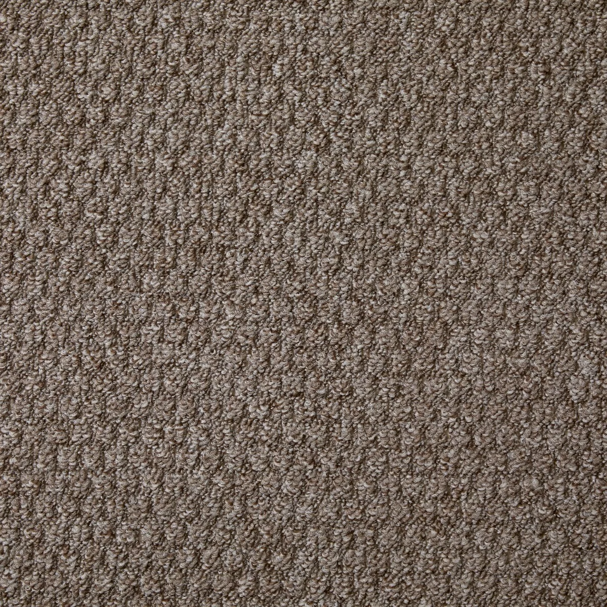 Atlas Oatmeal Carpet