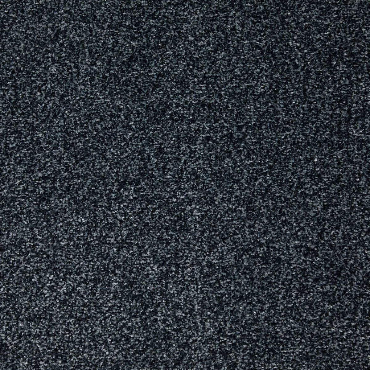Cosy Saxony Astral Carpet