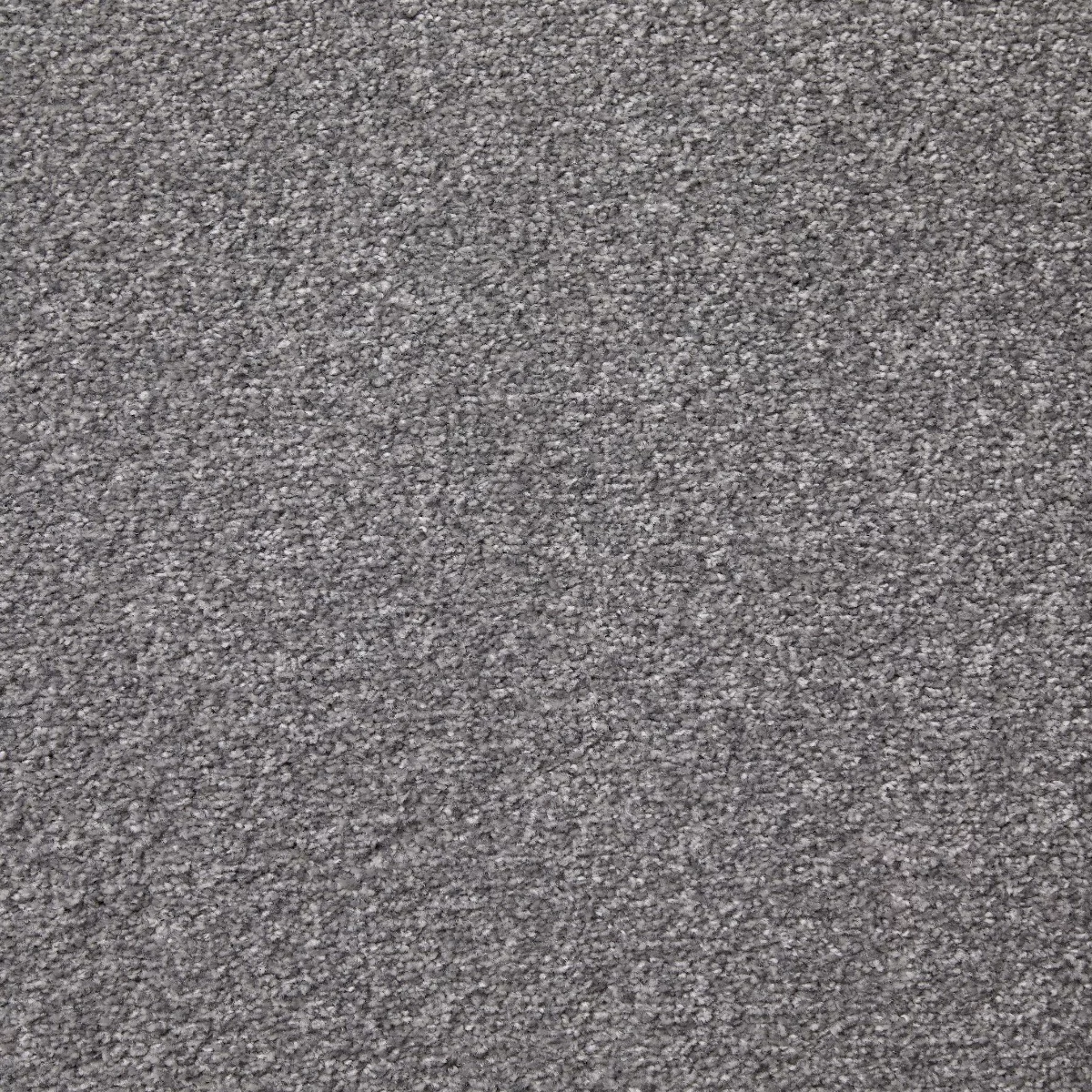 Cosy Saxony Astro Carpet