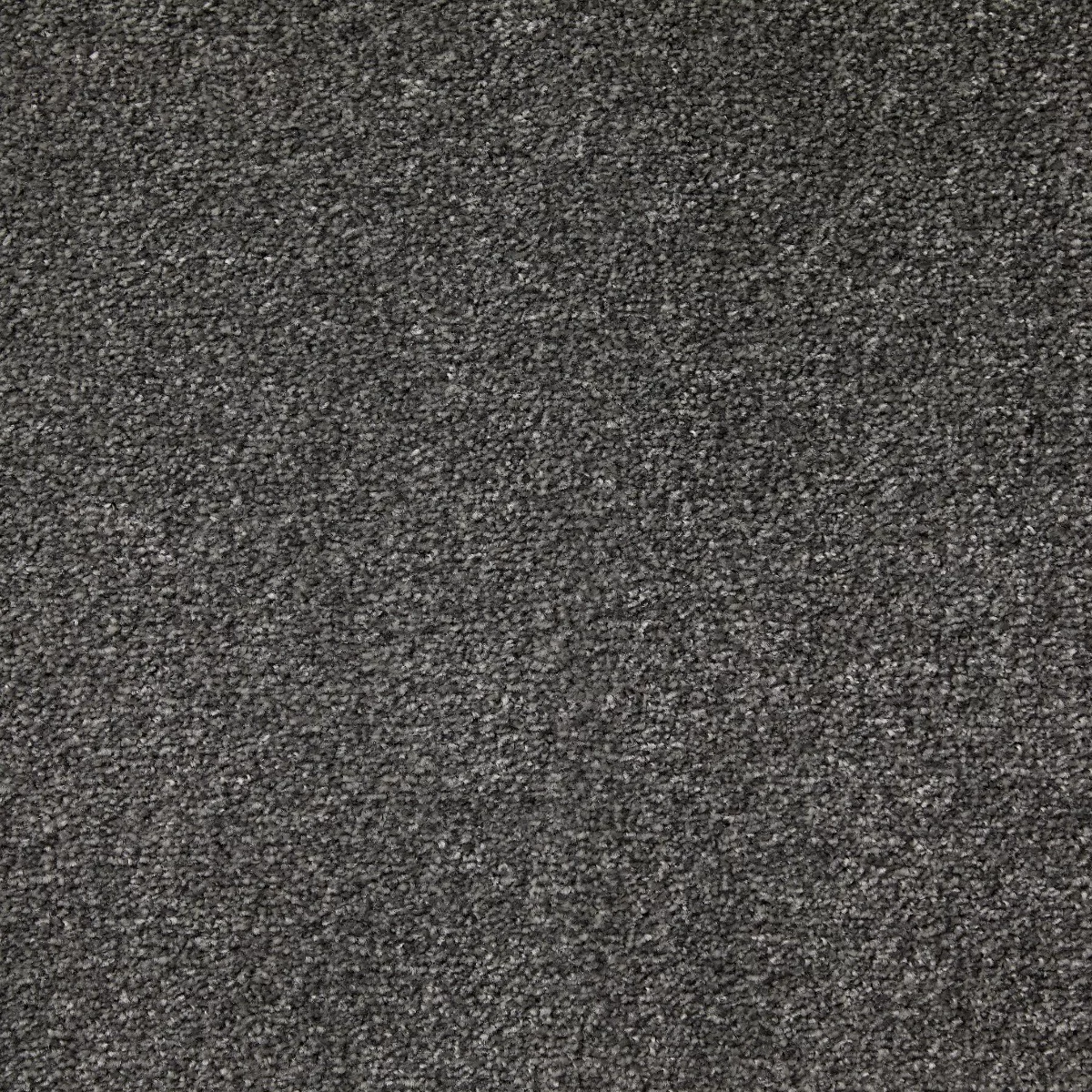 Cosy Saxony Cosmo Carpet