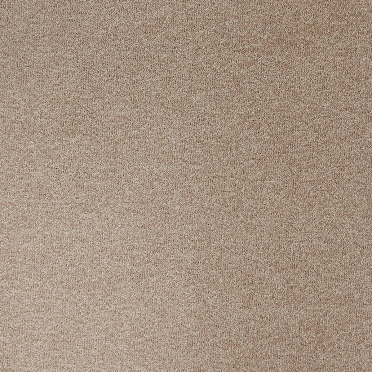 Cosy Saxony Lumina Carpet