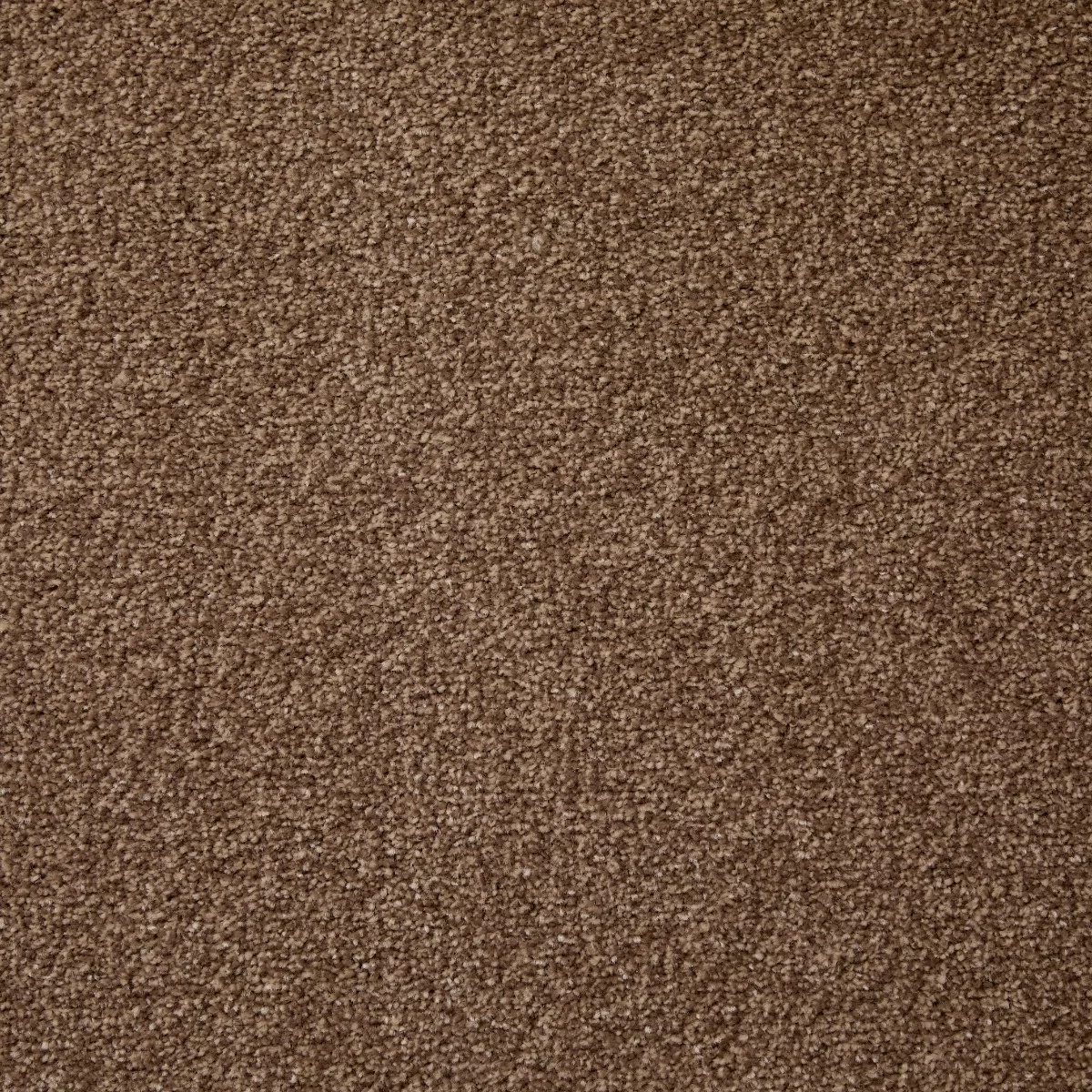 Cosy Saxony Martian Carpet