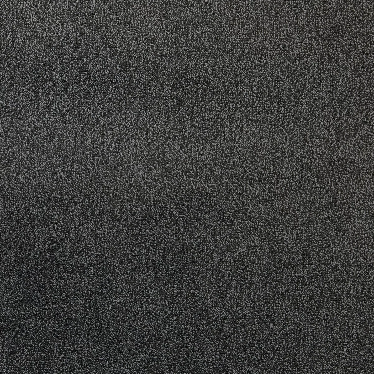 Cosy Saxony Nightfall Carpet