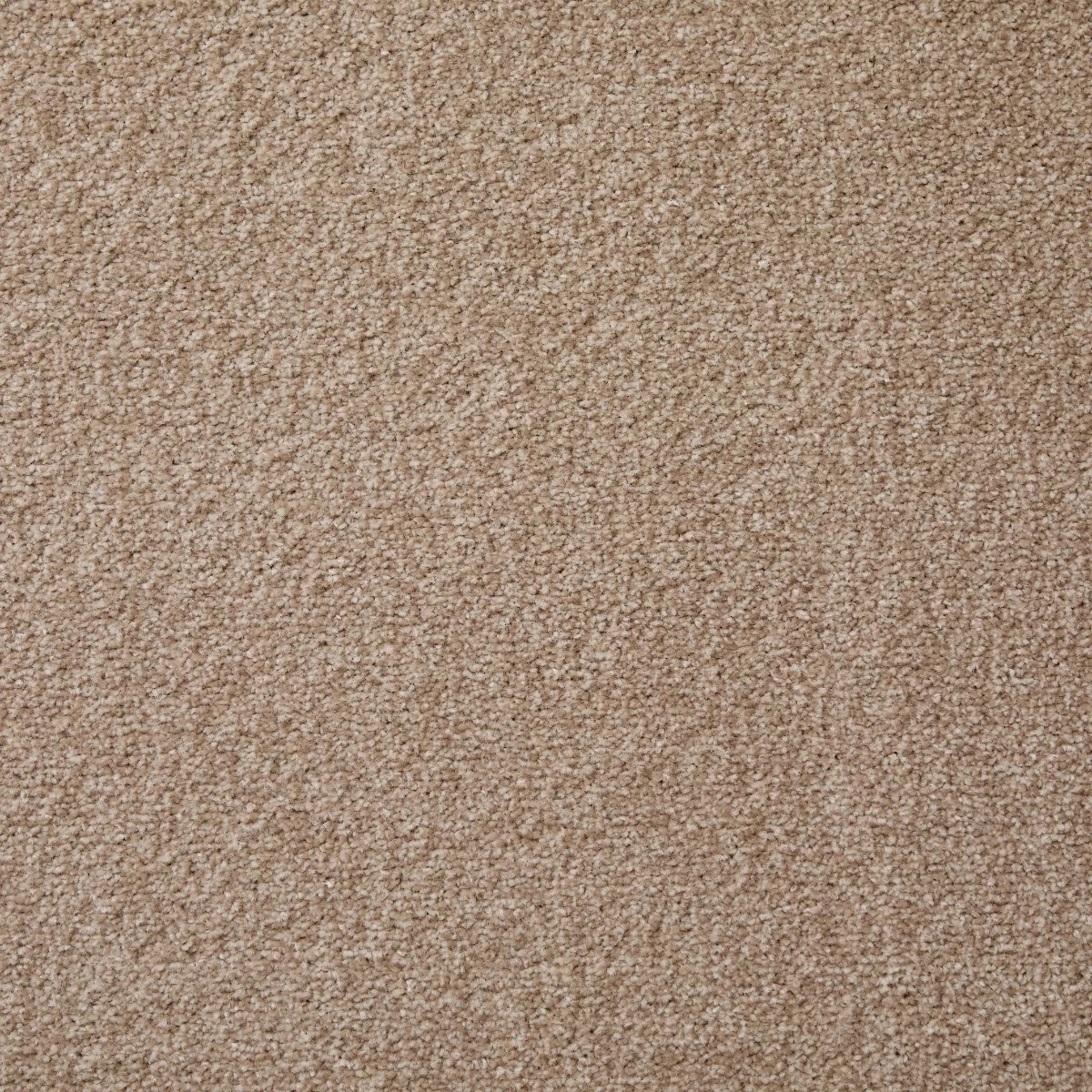 Cosy Saxony Nova Carpet