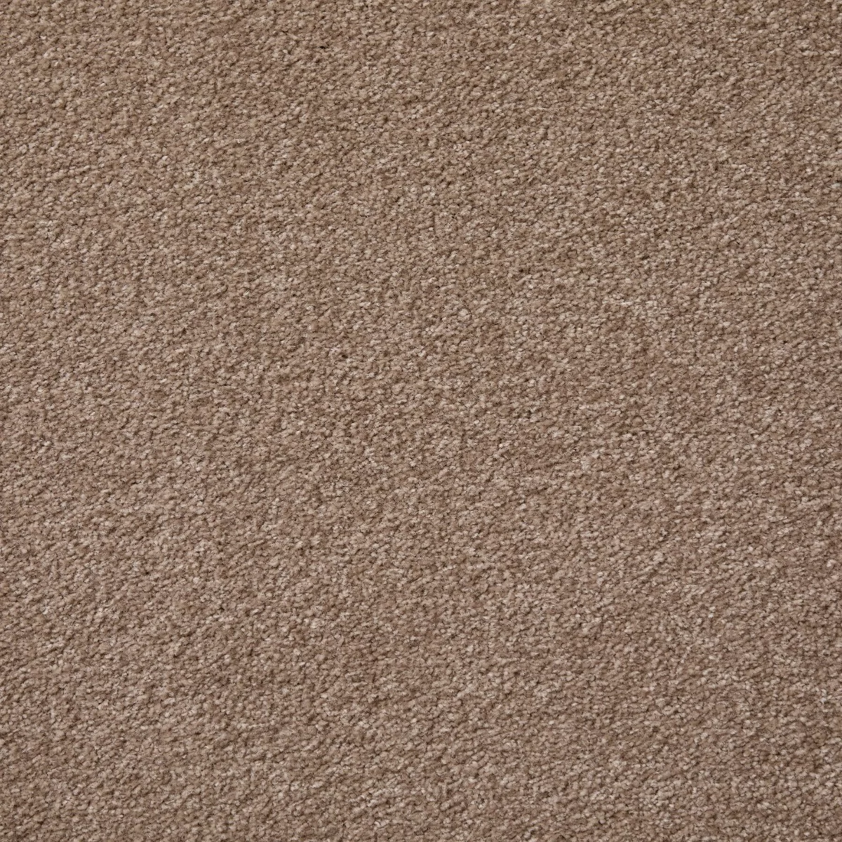 Cosy Saxony Saturn Carpet