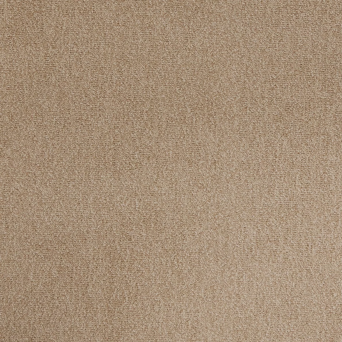 Cosy Saxony Solaris Carpet