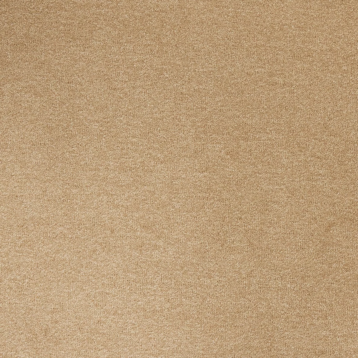 Cosy Saxony Stardust Carpet
