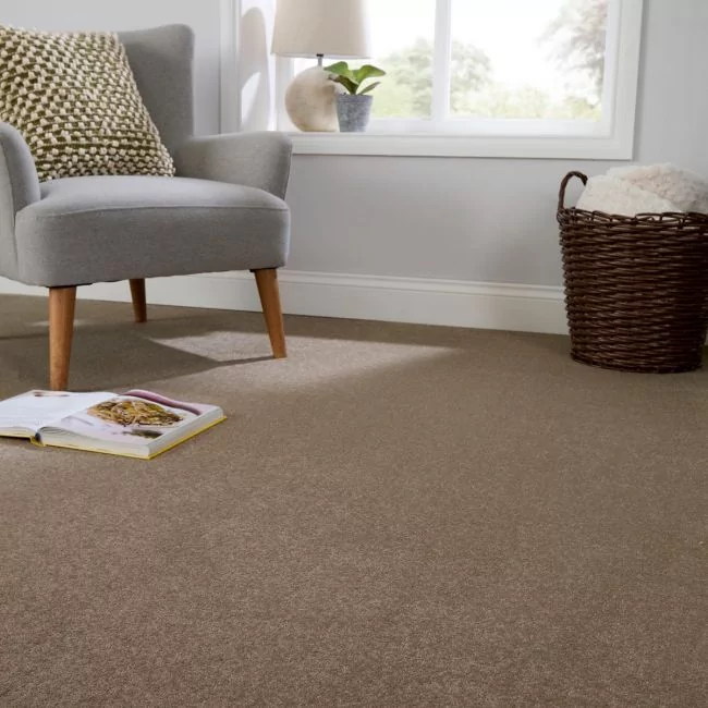 Aspire Stalk Twist Pile Carpet