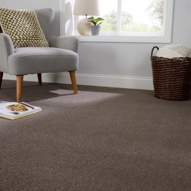 Aspire Vole Twist Pile Carpet