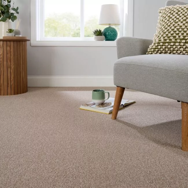 Cosy Saxony Nova Deep Pile Carpet