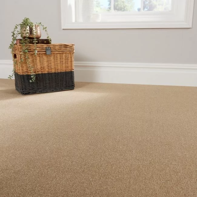 Cosy Saxony Stardust Deep Pile Carpet