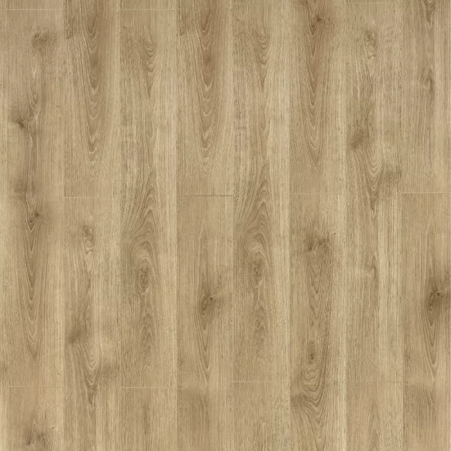 Verdanti Essential Gilded Oak 8mm Laminate Flooring