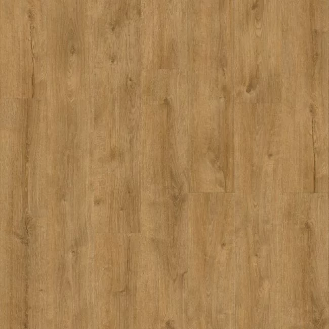 Moduleo Roots 55 EIR XL Galway Oak 87450