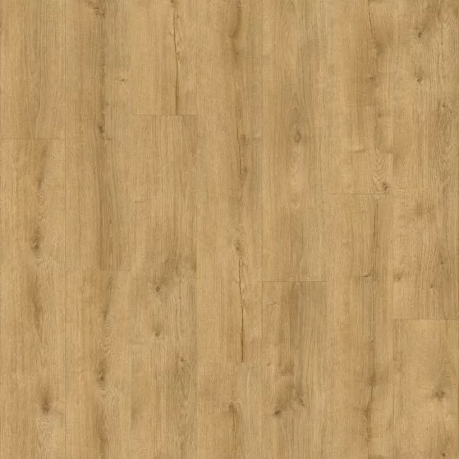 Moduleo Roots 55 EIR XL Galway Oak 87250