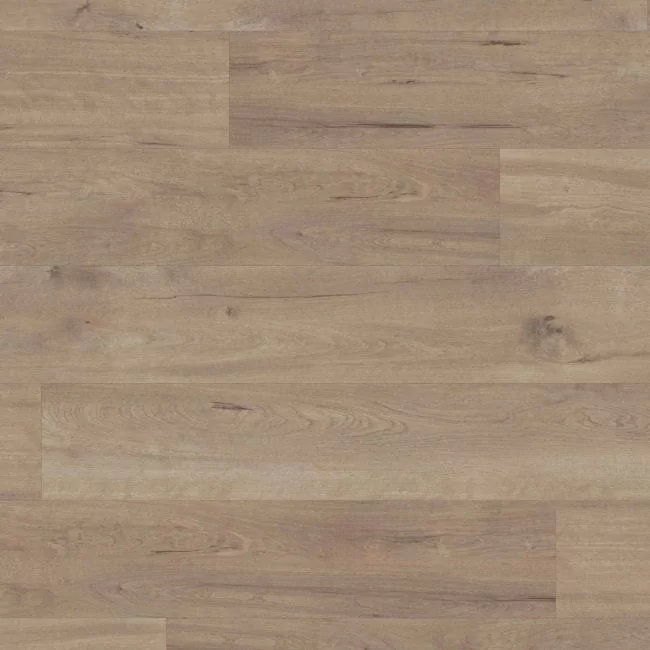 Glue Down Wood Effect Lvt In Medium Shade With Rustic Knots Karndean Van Gogh Frosted Bitch Vgw83T