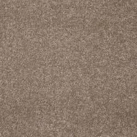 Arctic Alpen Twist Pile Carpet