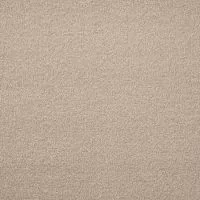 Arctic Avalanche Twist Pile Carpet