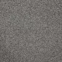 Arctic Shackleton Twist Pile Carpet