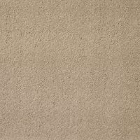 Aspire Oxford Twist Pile Carpet