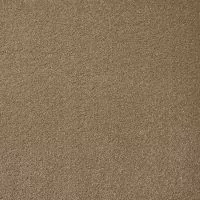 Aspire Stalk Twist Pile Carpet