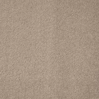 Aspire Stone Twist Pile Carpet