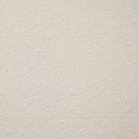 Aspire Talc Twist Pile Carpet