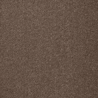 Aspire Vole Twist Pile Carpet