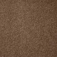 Cosy Saxony Martian Deep Pile Carpet