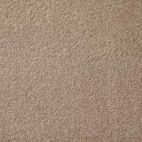 Cosy Saxony Nova Deep Pile Carpet