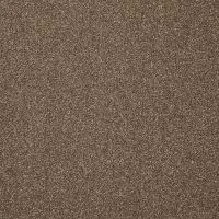 Dominance Choc Chip Twist Pile Carpet