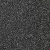 Dominance Raven Twist Pile Carpet