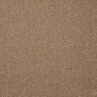 Dominance Seed Pod Twist Pile Carpet