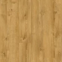 Moduleo Roots 55 Galway Oak 87450 LVT