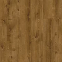Moduleo Roots 55 Galway Oak 87870 LVT