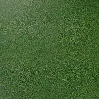 Abstract Grass Sheet Vinyl Flooring