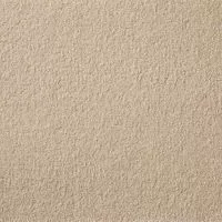 Joy Biscuit Luxury Saxony Carpet