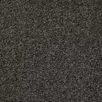 Leo Twist Obsidian Short Pile Carpet