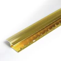 Gold Z Door Threshold