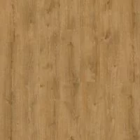 Moduleo Roots 55 EIR XL Galway Oak 87450