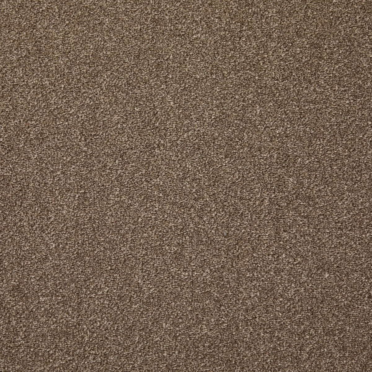 Dominance Choc Chip Carpet