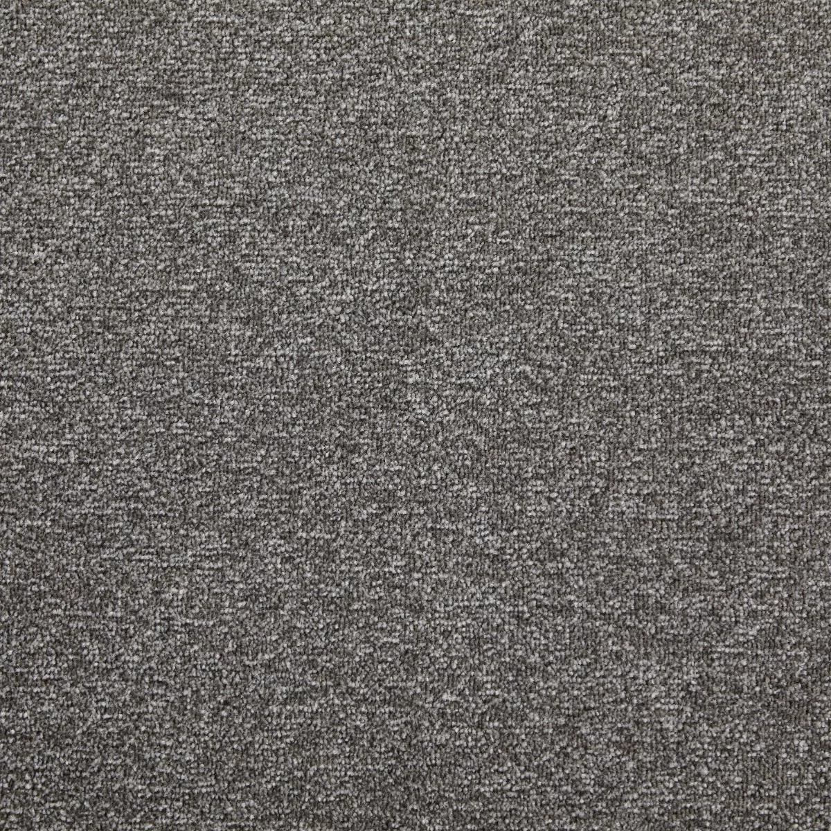 Dominance Grey Scale Carpet