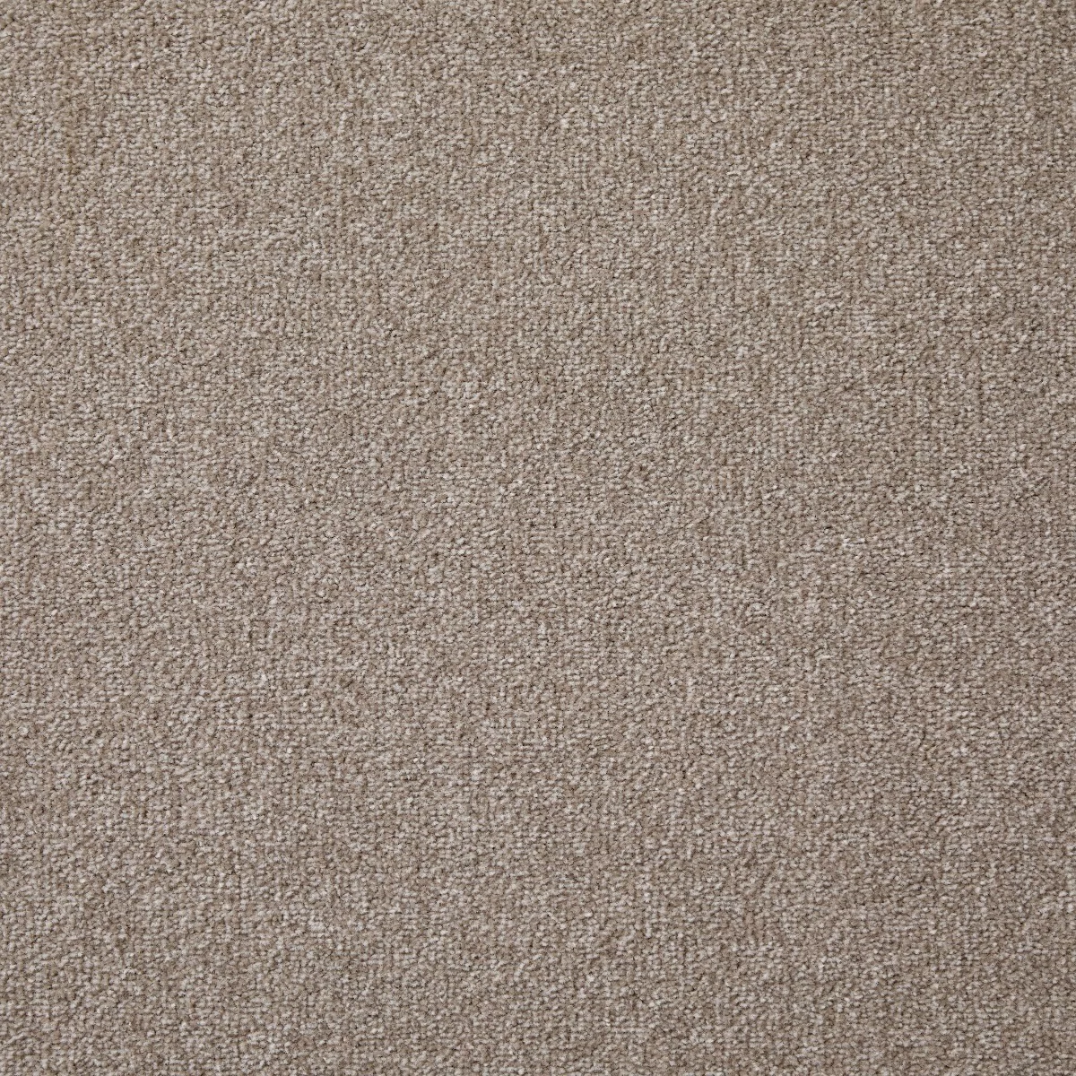 Dominance Matchstick Carpet