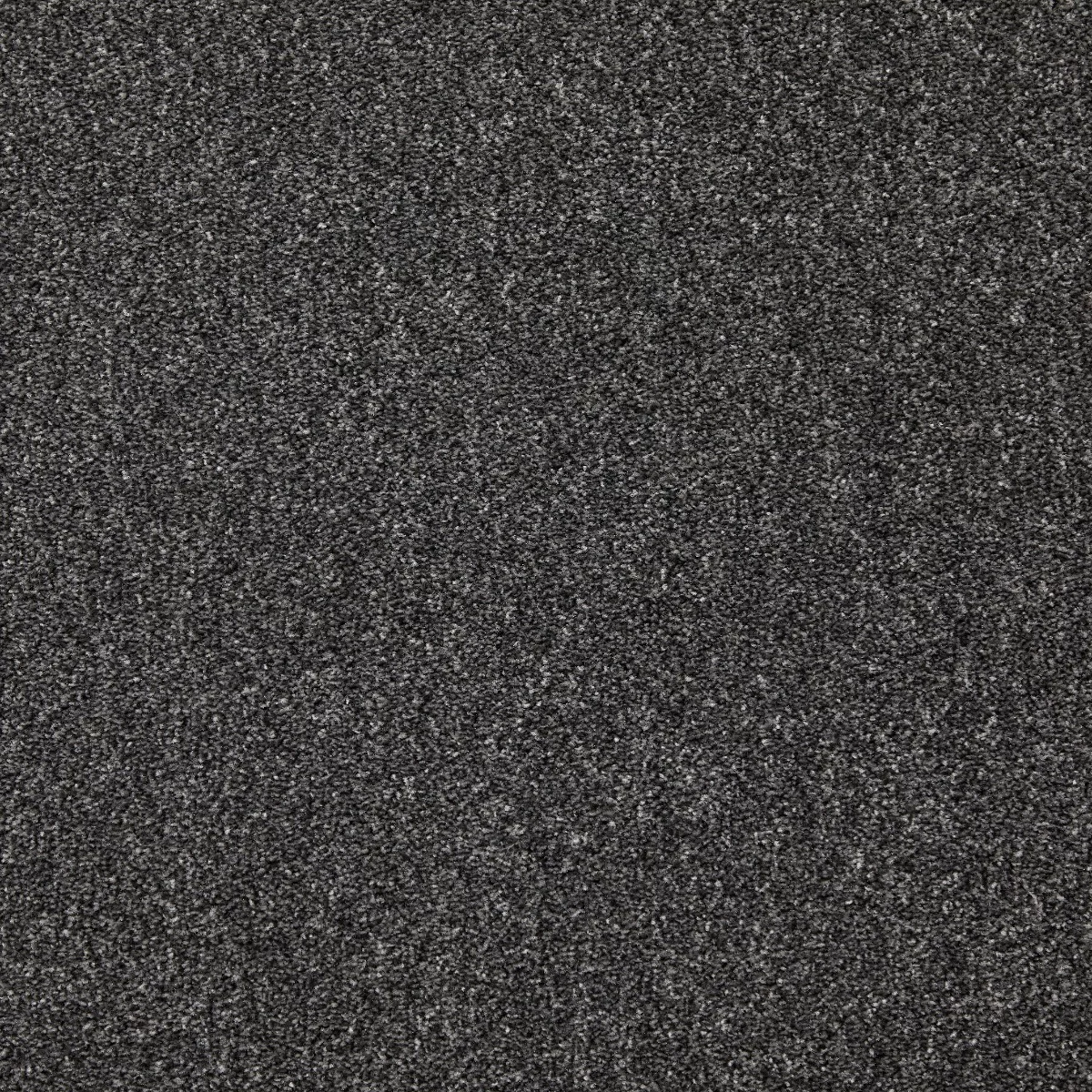 Dominance Raven Carpet