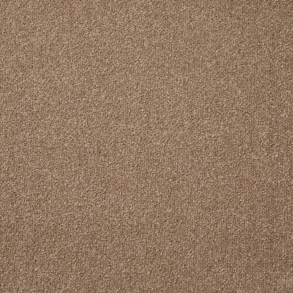 Dominance Seed Pod Carpet