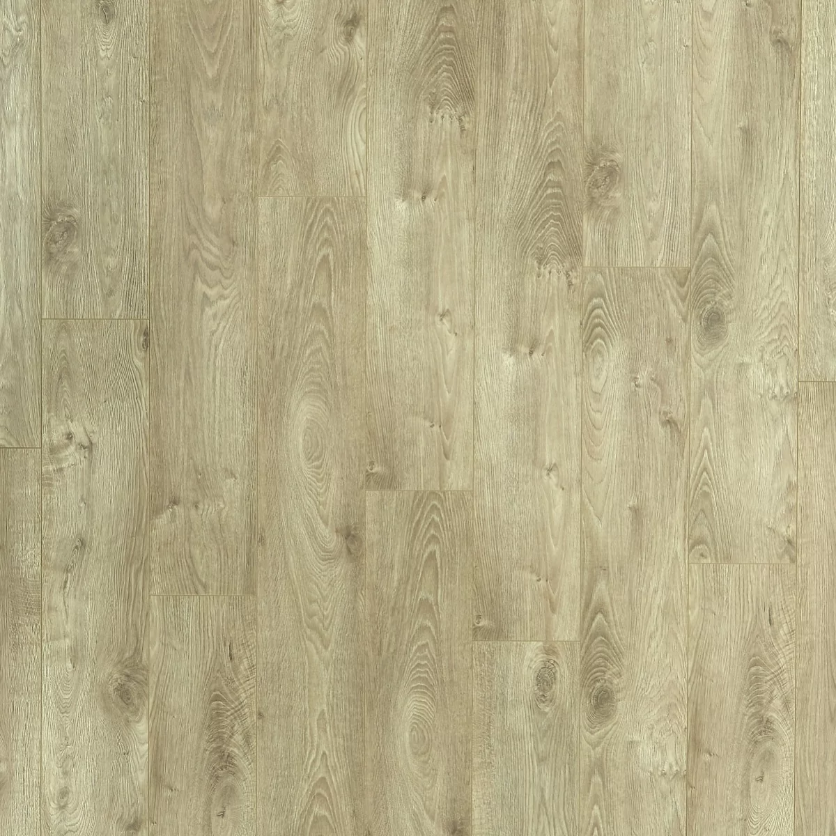Verdanti Splash Dune Laminate 