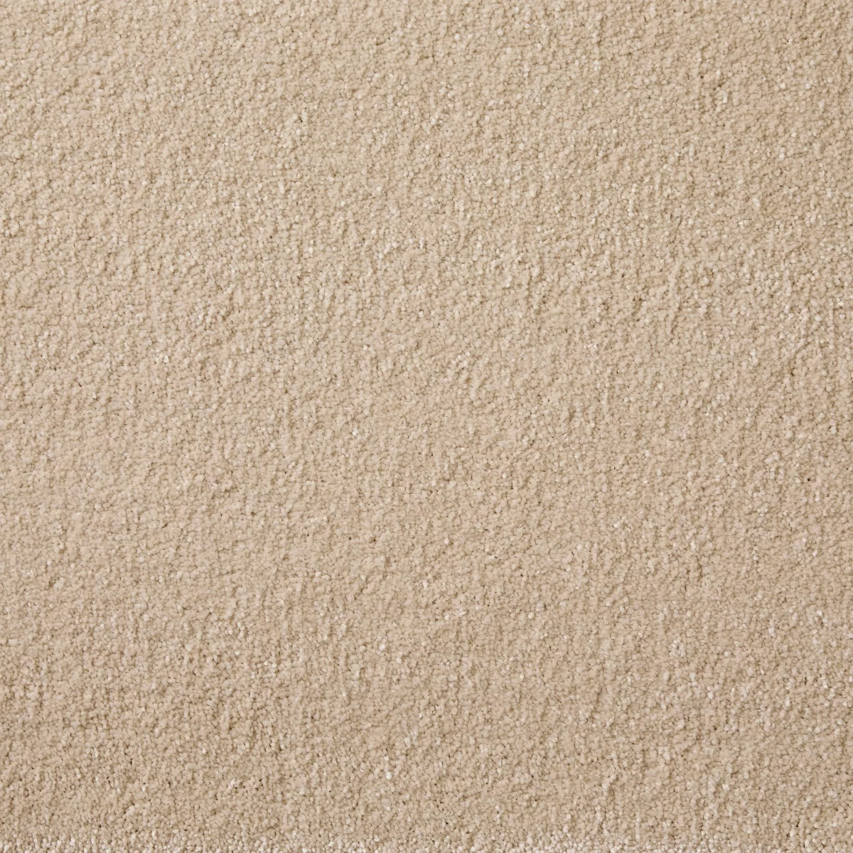 Joy Biscuit Carpet